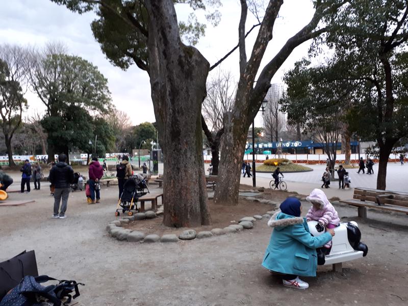 Day 6-7 – Tokyo Toy Museum, Ueno Park and Departure